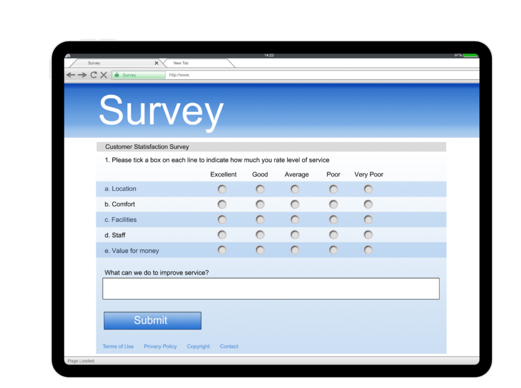 Survey example in VIBE LTC management software