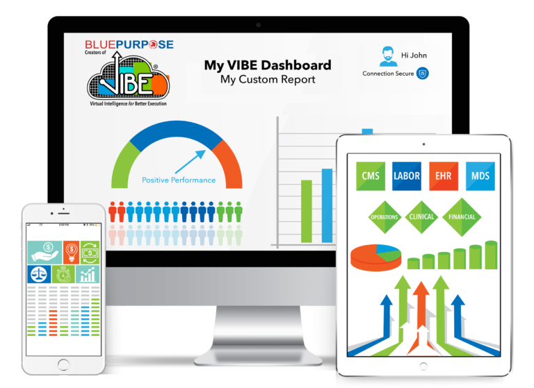 VIBE software by The Blue Purpose